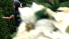 Американская семейка 3 сезон 10 серия