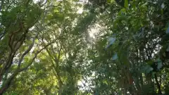 Американская семейка 5 сезон 20 серия