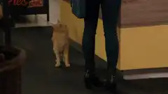 Американская семейка 11 сезон 2 серия